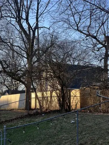 Golden hour glow on a quiet backyard.